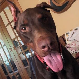 Meet your Posher, Hope